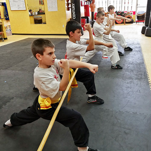 Ten Tigers Kung Fu Academy Young Tigers Kung Fu